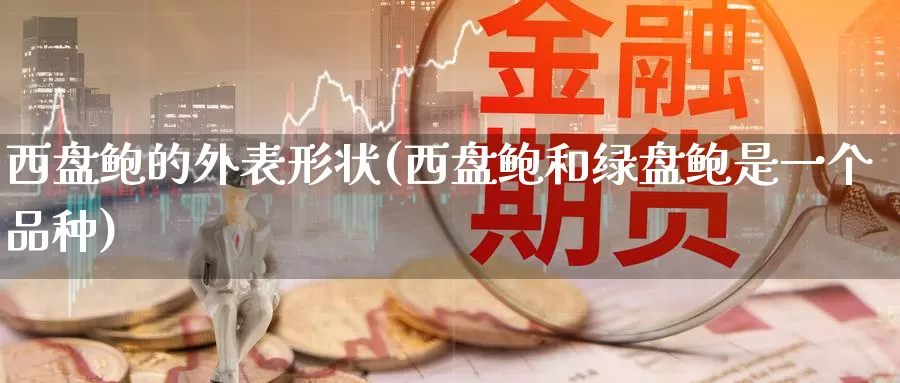 西盘鲍的外表形状(西盘鲍和绿盘鲍是一个品种)_https://www.lchbfg.com_eia行情_第1张